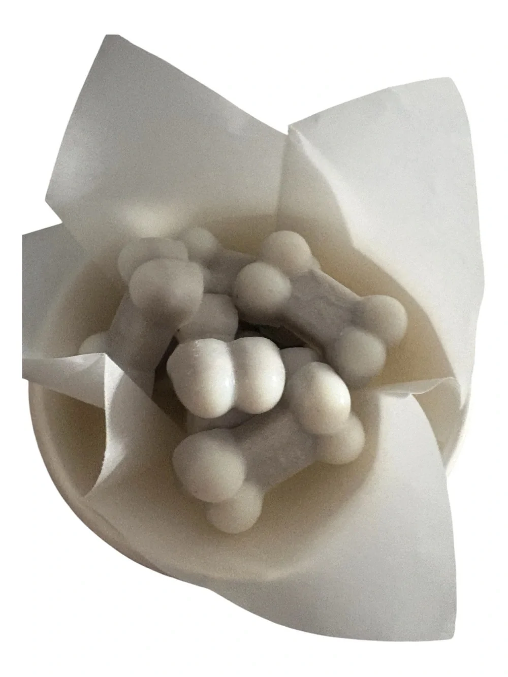 Cinnamon leaf dog bones 2.5 oz wax melts